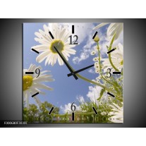 Wandklok op Canvas Natuur | Kleur: Blauw, Wit, Groen | F000680C