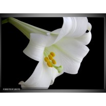 Foto canvas schilderij Bloem | Wit, Zwart, Geel 