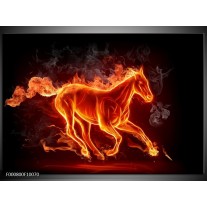 Glas schilderij Paarden | Rood, Oranje, Zwart 