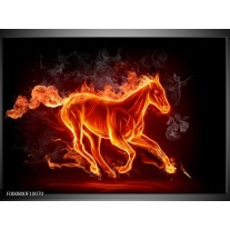 Glas schilderij Paarden | Rood, Oranje, Zwart 