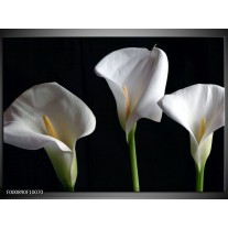 Foto canvas schilderij Bloem | Wit, Geel, Zwart 