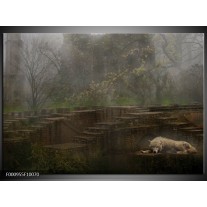 Foto canvas schilderij Wolf | Groen, Grijs 