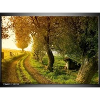 Foto canvas schilderij Bomen | Groen, Geel, Wit 