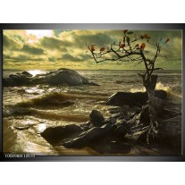 Foto canvas schilderij Natuur | Groen, Grijs 