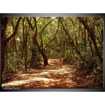 Foto canvas schilderij Bos | Groen, Bruin 