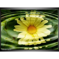 Glas schilderij Bloem | Groen, Geel, Wit 