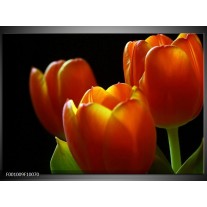 Foto canvas schilderij Tulpen | Rood, Geel, Oranje 