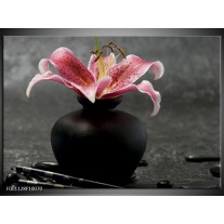 Foto canvas schilderij Bloem | Zwart, Rood, Grijs 