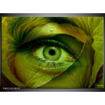 Foto canvas schilderij Oog | Groen, Bruin 