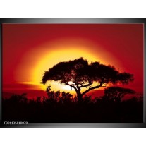 Glas schilderij Zonsondergang | Zwart, Geel, Rood 