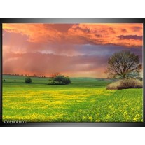 Foto canvas schilderij Landschap | Groen, Geel, Paars 
