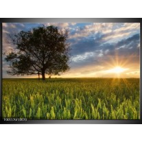 Foto canvas schilderij Landschap | Wit, Blauw, Groen 