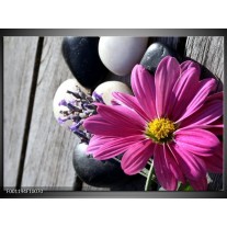 Foto canvas schilderij Bloem | Geel, Paars, Wit 