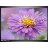 Foto canvas schilderij Bloem | Bloem, Geel 