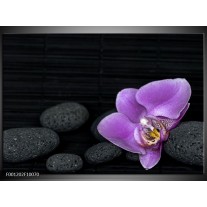 Foto canvas schilderij Orchidee | Paars, Wit, Grijs 