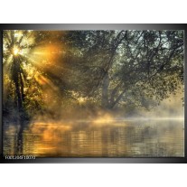 Foto canvas schilderij Natuur | Grijs, Wit 