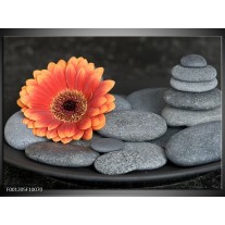 Foto canvas schilderij Bloem | Oranje, Grijs 