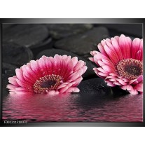 Foto canvas schilderij Gerbera | Rood, Grijs, Zwart 