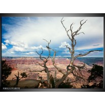 Foto canvas schilderij Natuur | Blauw, Wit 