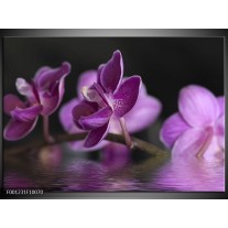 Foto canvas schilderij Orchidee | Paars, Zwart 