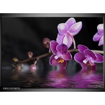 Glas schilderij Orchidee | Paars, Zwart, Wit 