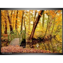 Foto canvas schilderij Natuur | Geel, Bruin, Groen 