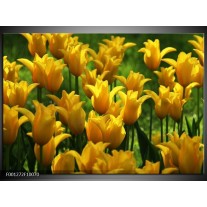 Foto canvas schilderij Tulpen | Geel, Groen 