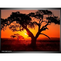 Foto canvas schilderij Zonsondergang | Zwart, Geel, Rood 