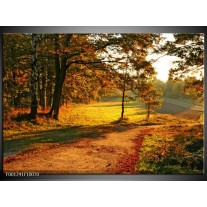 Foto canvas schilderij Natuur | Groen, Geel, Bruin 