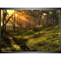Foto canvas schilderij Natuur | Geel, Groen 