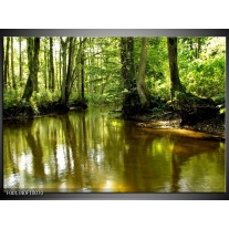 Foto canvas schilderij Natuur | Groen, Bruin 