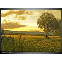 Foto canvas schilderij Natuur | Grijs, Groen, Geel 