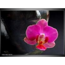 Glas schilderij Orchidee | Rood, Zwart, Grijs 