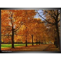 Foto canvas schilderij Bomen | Geel, Oranje 