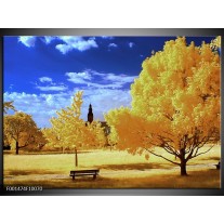 Foto canvas schilderij Natuur | Geel, Blauw, Wit 