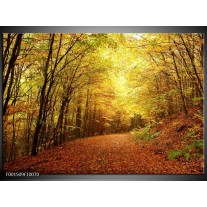 Foto canvas schilderij Natuur | Geel, Groen, Bruin 