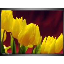 Foto canvas schilderij Tulpen | Geel, Bruin, Groen 