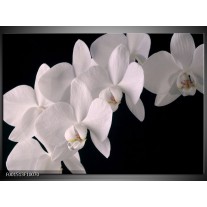 Foto canvas schilderij Orchidee | Wit, Zwart 