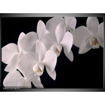 Glas schilderij Orchidee | Wit, Zwart 