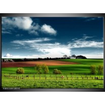 Foto canvas schilderij Natuur | Groen, Bruin, Blauw 