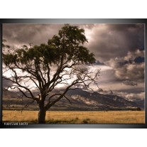 Foto canvas schilderij Natuur | Wit, Zwart, Grijs 