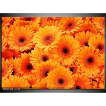 Foto canvas schilderij Bloemen | Oranje, Zwart 