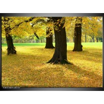 Foto canvas schilderij Natuur | Geel, Groen, Zwart 