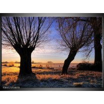 Foto canvas schilderij Natuur | Zwart, Blauw, Geel 