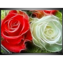 Foto canvas schilderij Roos | Wit, Rood, 