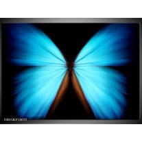 Glas schilderij Vlinder | Blauw, Zwart 