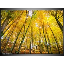 Foto canvas schilderij Bomen | Geel, Groen 