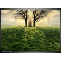 Foto canvas schilderij Natuur | Groen, Wit, Zwart 