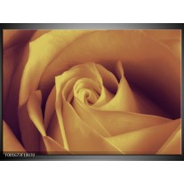 Foto canvas schilderij Roos | Bruin, Creme 