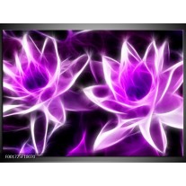 Foto canvas schilderij Bloemen | Paars, Wit, Zwart 